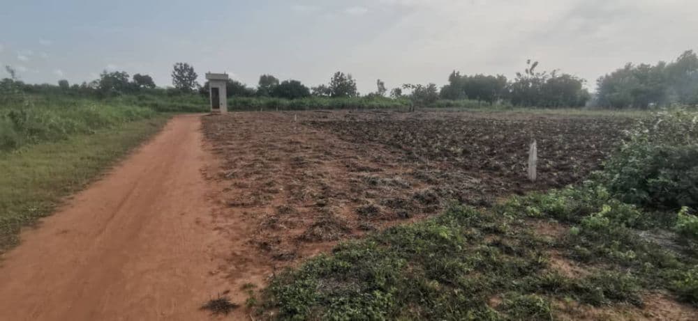 10 parcelles de 500 m bien situées à Attogon